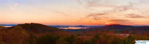 1080 County Road 767, Cedar Bluff, AL 35959 photo 45