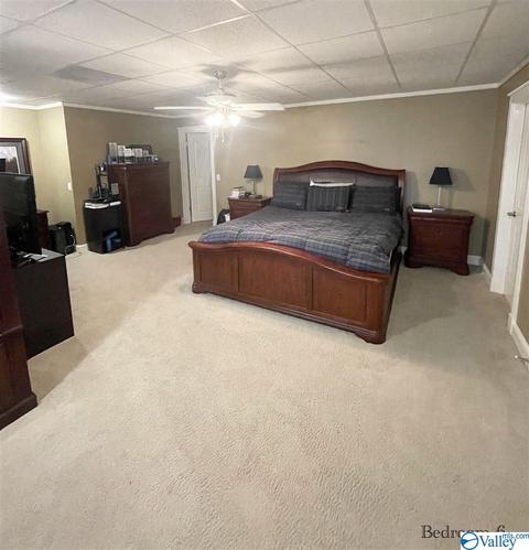 1080 County Road 767, Cedar Bluff, AL 35959 photo 33