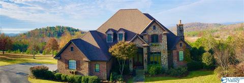 1080 County Road 767, Cedar Bluff, AL 35959 photo 2