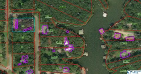 60 County Road 699, Cedar Bluff, AL 35959 photo 2