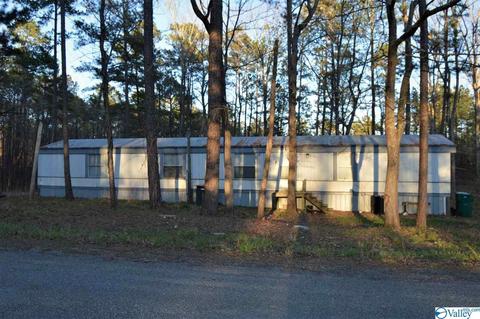 60 County Road 699, Cedar Bluff, AL 35959 photo 1