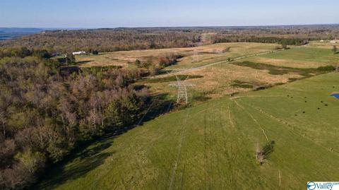 235 County Road 611, Section, AL 35771 photo 40