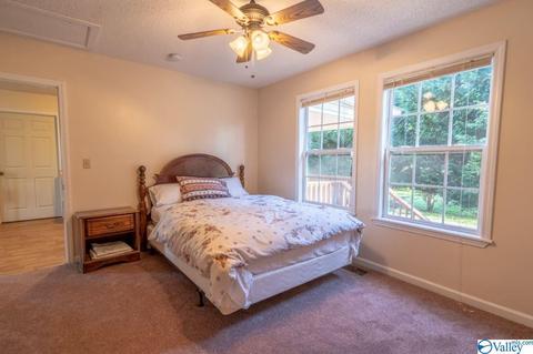 235 County Road 611, Section, AL 35771 photo 32
