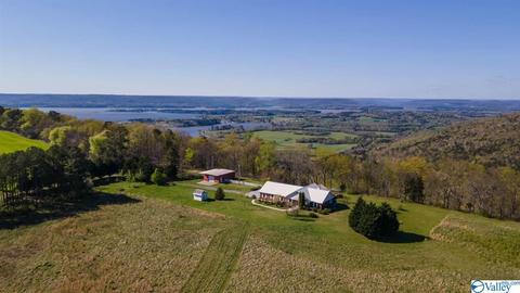 235 County Road 611, Section, AL 35771 photo 1
