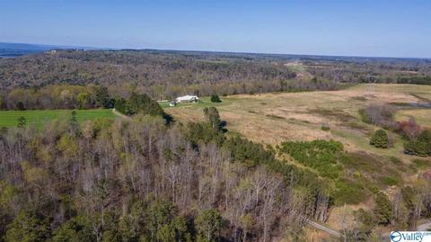 235 County Road 611, Section, AL 35771 photo 38