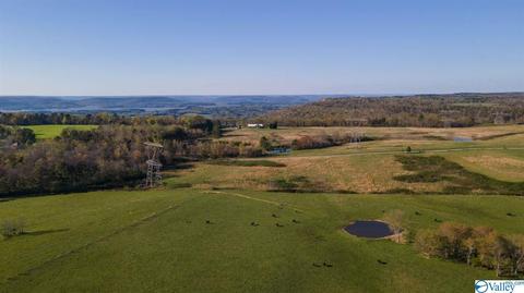 235 County Road 611, Section, AL 35771 photo 41