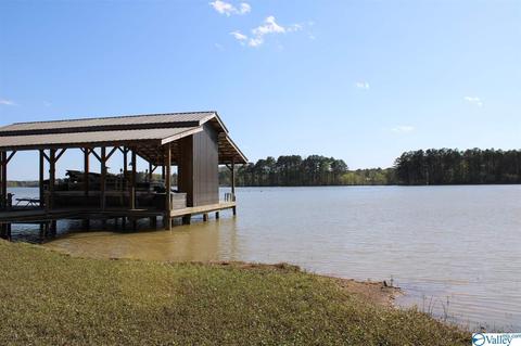 60 County Road 686, Cedar Bluff, AL 35959 photo 30