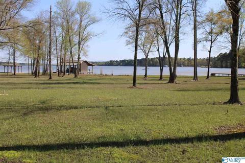 60 County Road 686, Cedar Bluff, AL 35959 photo 34