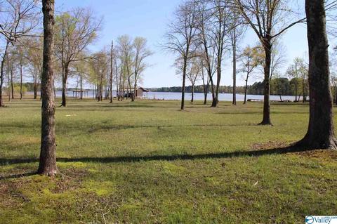 60 County Road 686, Cedar Bluff, AL 35959 photo 28