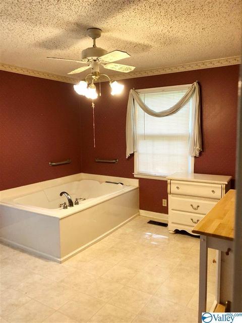 769 Hampton Rd, Southside, AL 35907 photo 16