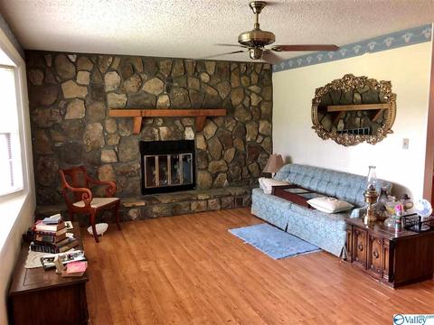 769 Hampton Rd, Southside, AL 35907 photo 9