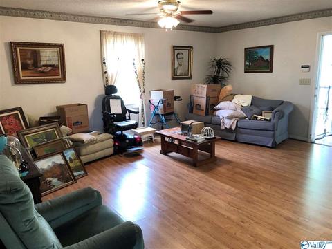769 Hampton Rd, Southside, AL 35907 photo 10