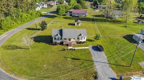 140 Maple Cir, Arab, AL 35016 photo 24