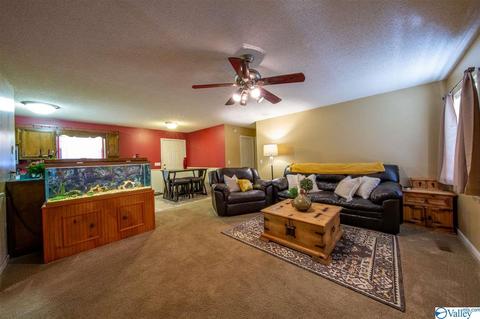 140 Maple Cir, Arab, AL 35016 photo 13
