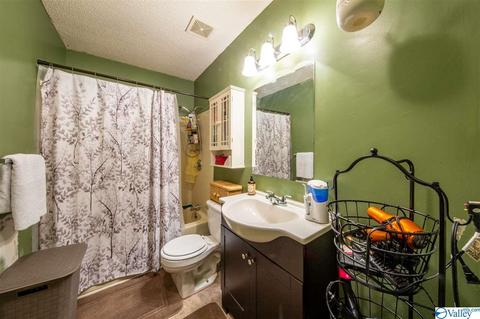 140 Maple Cir, Arab, AL 35016 photo 16