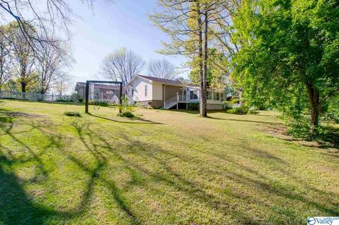 343 Mini Farm Rd, Grant, AL 35747 photo 10