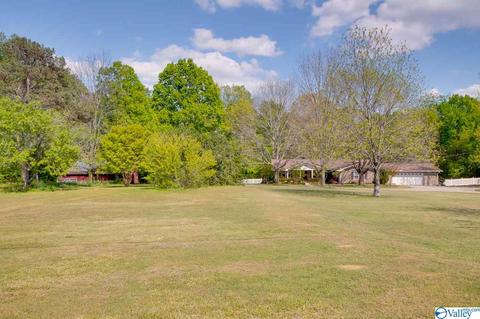343 Mini Farm Rd, Grant, AL 35747 photo 14