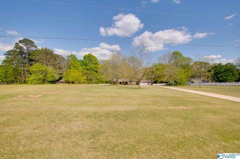 343 Mini Farm Rd, Grant, AL 35747 photo 12