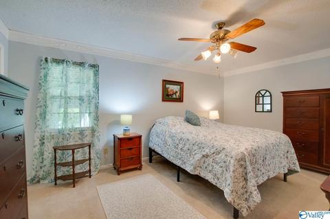 343 Mini Farm Rd, Grant, AL 35747 photo 35