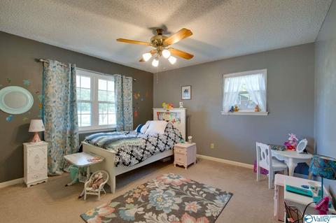 343 Mini Farm Rd, Grant, AL 35747 photo 32