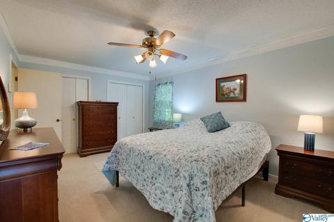343 Mini Farm Rd, Grant, AL 35747 photo 5