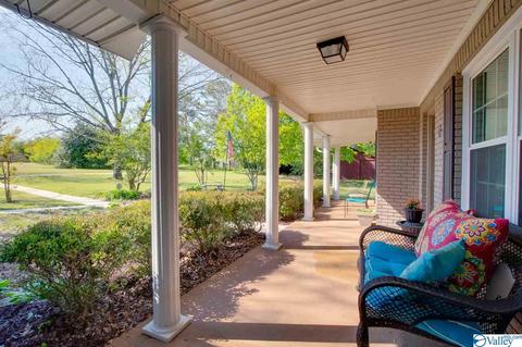 343 Mini Farm Rd, Grant, AL 35747 photo 15