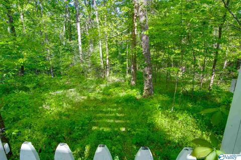 343 Mini Farm Rd, Grant, AL 35747 photo 46