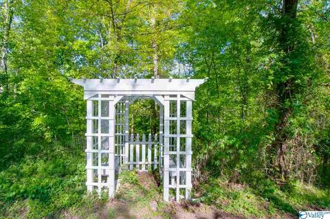 343 Mini Farm Rd, Grant, AL 35747 photo 45
