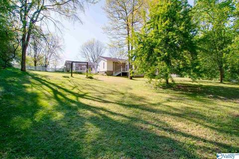 343 Mini Farm Rd, Grant, AL 35747 photo 49