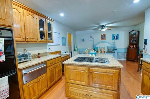 343 Mini Farm Rd, Grant, AL 35747 photo 26