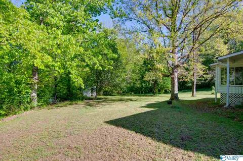 343 Mini Farm Rd, Grant, AL 35747 photo 44