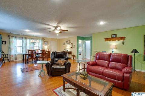 343 Mini Farm Rd, Grant, AL 35747 photo 22