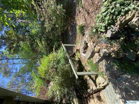 700 David St, Centre, AL 35960 photo 41