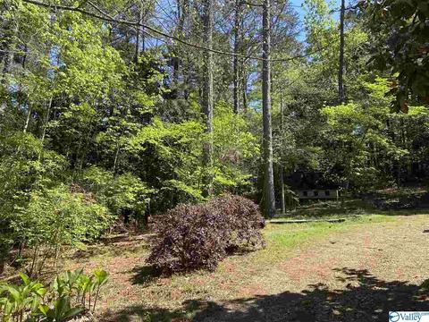700 David St, Centre, AL 35960 photo 36