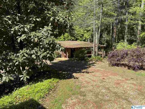 700 David St, Centre, AL 35960 photo 38