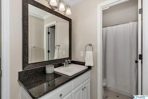 155 Joeffie Rd, Grant, AL 35747 photo 24