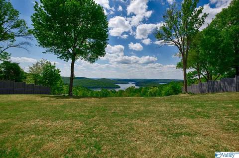 155 Joeffie Rd, Grant, AL 35747 photo 49