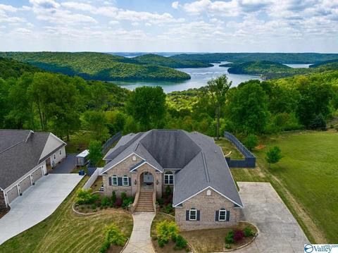 155 Joeffie Rd, Grant, AL 35747 photo 7