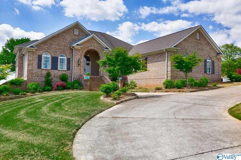 155 Joeffie Rd, Grant, AL 35747 photo 8