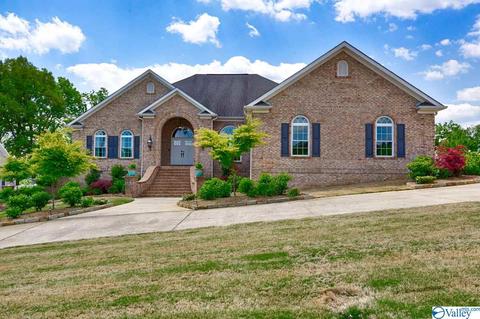 155 Joeffie Rd, Grant, AL 35747 photo 5