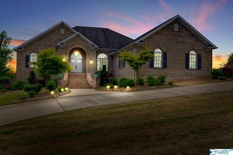 155 Joeffie Rd, Grant, AL 35747 photo 1