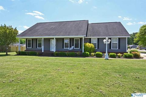 48 Clayton Ave, Trinity, AL 35673 photo 1