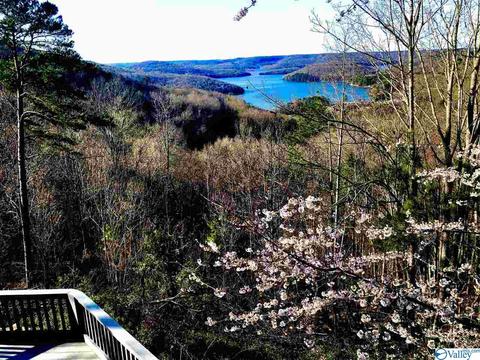 51 Lemaster Ln, Grant, AL 35747 photo 44