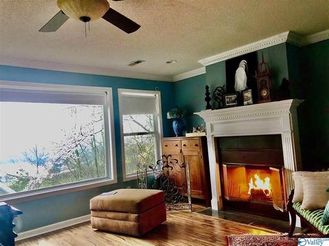 51 Lemaster Ln, Grant, AL 35747 photo 20