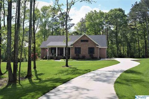 330 SE Spring Rd, Arab, AL 35016 photo 1