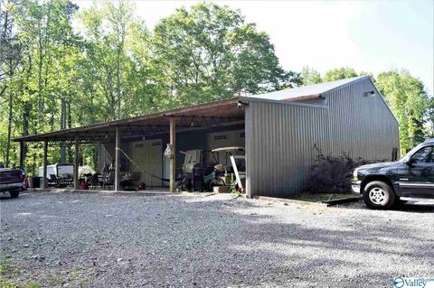 330 SE Spring Rd, Arab, AL 35016 photo 36