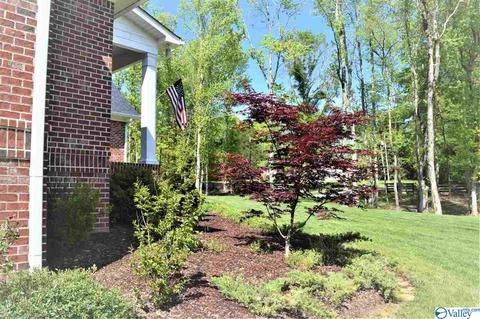 330 SE Spring Rd, Arab, AL 35016 photo 15