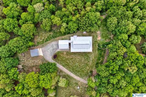 485 Mohawk Cliff Rd, Ohatchee, AL 36271 photo 8