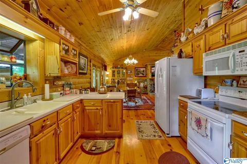 485 Mohawk Cliff Rd, Ohatchee, AL 36271 photo 16
