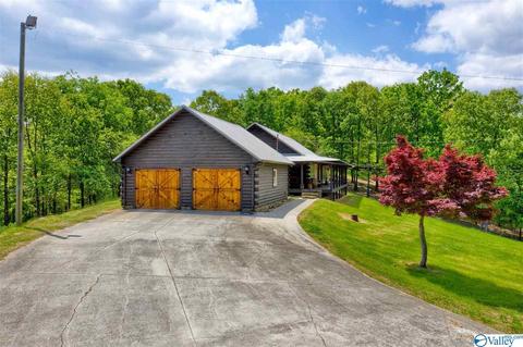 485 Mohawk Cliff Rd, Ohatchee, AL 36271 photo 2